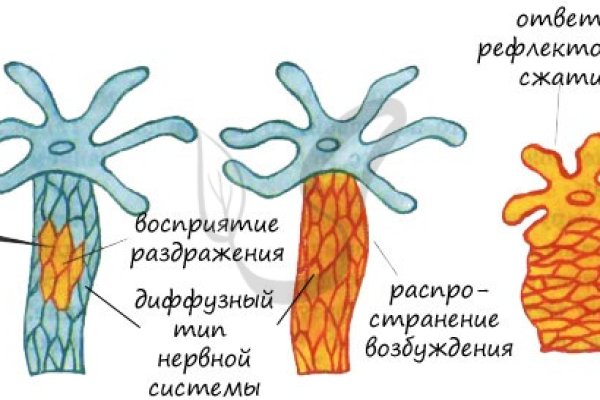 Сайт омг вход